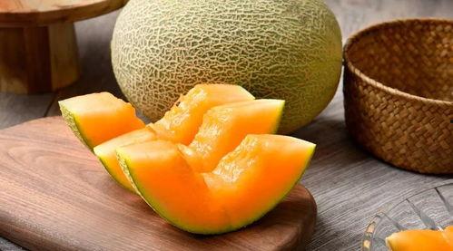 回肠糜烂可以吃哈密瓜吗,回肠糜烂患者适宜食用哈密瓜的探讨