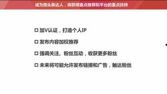 如何增加头条里的粉丝,五大秘诀助你人气飙升