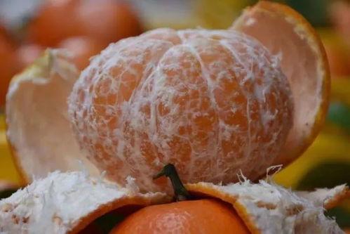 吃瓜得带脑子,用智慧守护你的“瓜界”