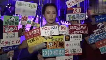 最新八卦pk爆料,揭秘明星们的幕后故事与真实面目