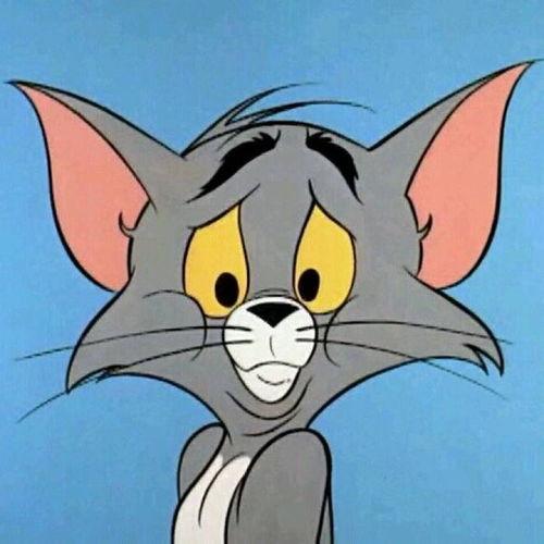 猫和老师吃瓜头像,吃瓜头像趣味横生