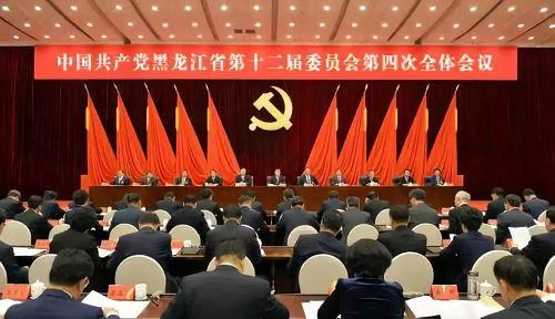 哈尔滨市北城区新闻头条,聚焦区域发展新动态，共绘美好未来蓝图