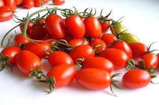 吃瓜达人李小白,揭秘娱乐圈幕后故事