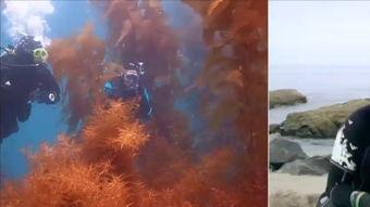 ow启明星,揭秘OW的璀璨未来