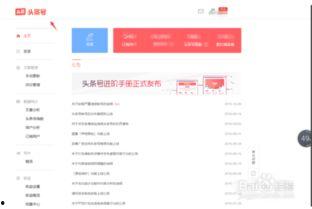 头条改,聚焦时事热点，洞察社会脉动