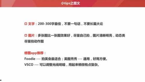 今日头条应聘文章,探索新媒体领域的无限可能，共创未来！