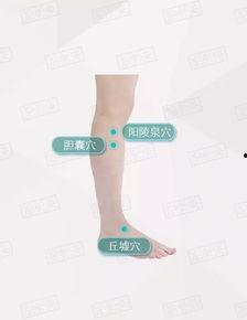 明星胆囊炎,揭秘明星健康背后的隐忧