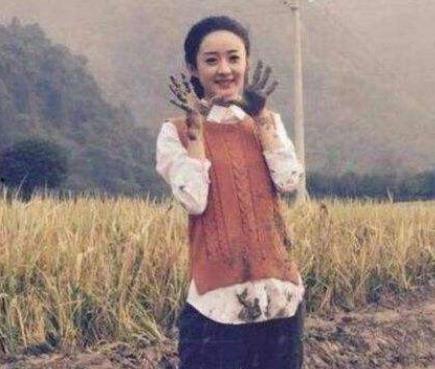 村口明星,闪耀乡村的璀璨星辰