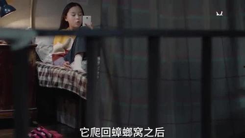 姐姐爆料身世视频大全,姐姐爆料家族视频大揭秘