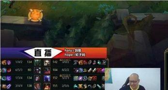 老岳爆料最新视频大全免费观看,免费观看，精彩内容一网打尽！