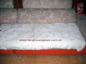 网红褥子,颠覆传统睡眠体验的潮流新品