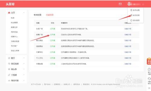 头条号自营广告怎么操作,从入门到精通的实操指南