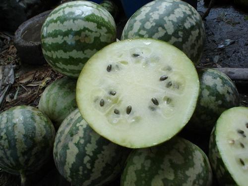 孕妇吃绿宝瓜的好处,绿宝瓜的营养益处与孕妇健康