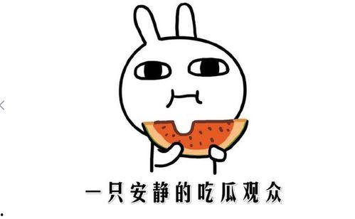 吃瓜事件什么意思,网络舆论场中的真相与误解