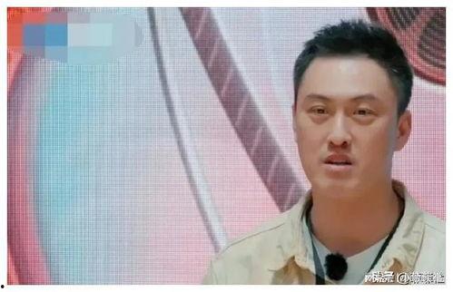 娱乐圈吃瓜爆料大佬,吃瓜大佬的爆料风云录